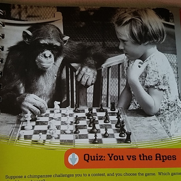 The Hand Book- 100% KLUTZ Certified - Picture 13 of 16